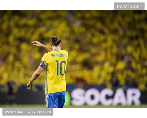 足球明星奉先是谁他在足球界的成就与影响力解析