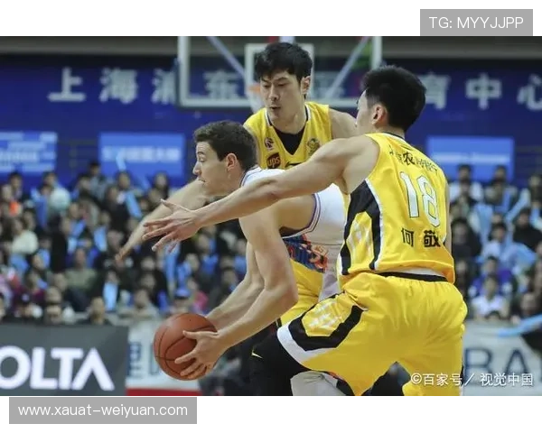 杭州篮球队个人能力分析与表现评估的深度研究与探讨